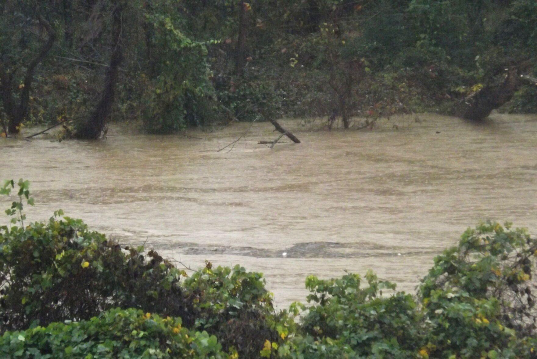 flooding5.JPG
